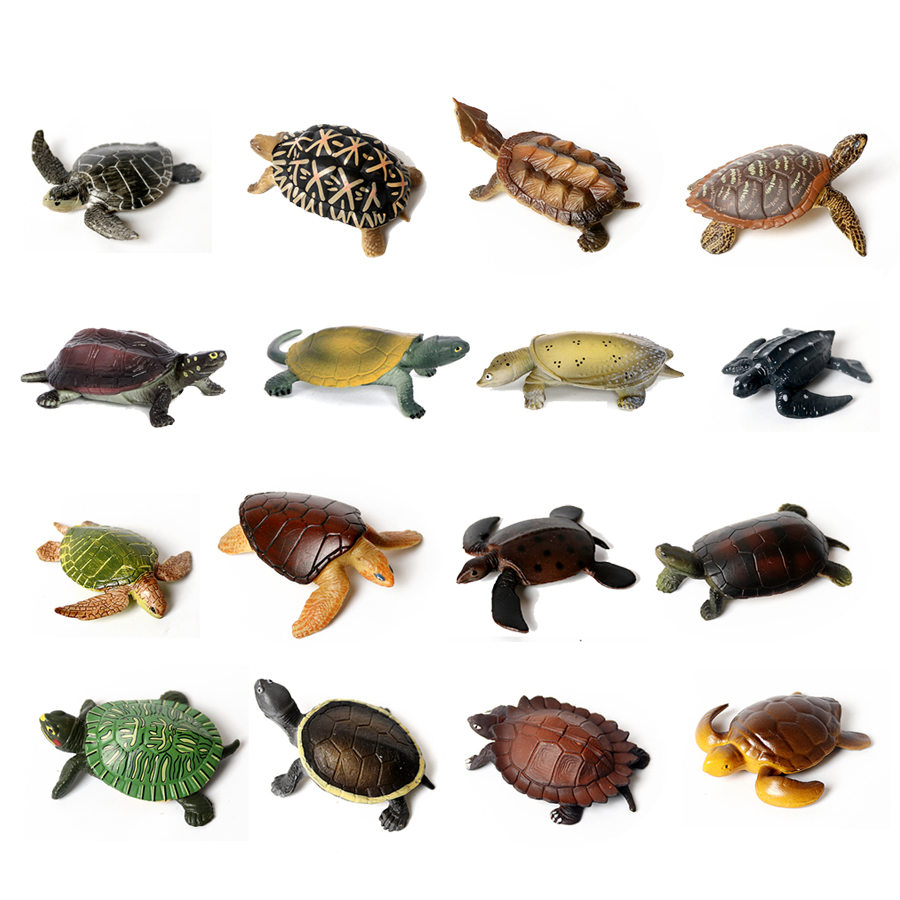 Marine Aquarium - Thực Tế Bức Tiểu Họa Sinh