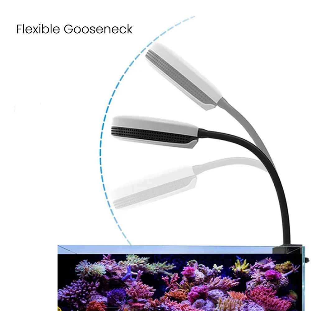 Spectra SP20 20W Aquarium LED  - đánh giá và giá Reef Lighting