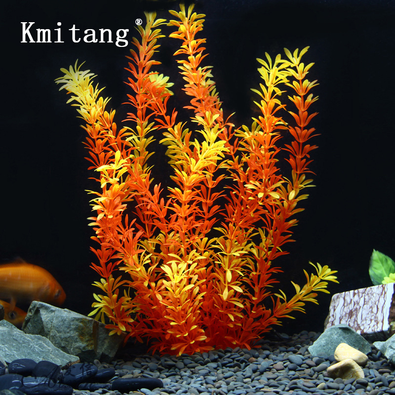 100Cm Thực Vật Nhiệt Đới Lớn N - đánh giá và giá Marine Aquarium
