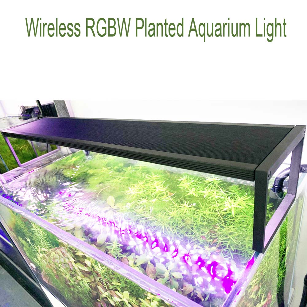 LED Aquarium Planted light Ext - đánh giá và giá Reef Lighting