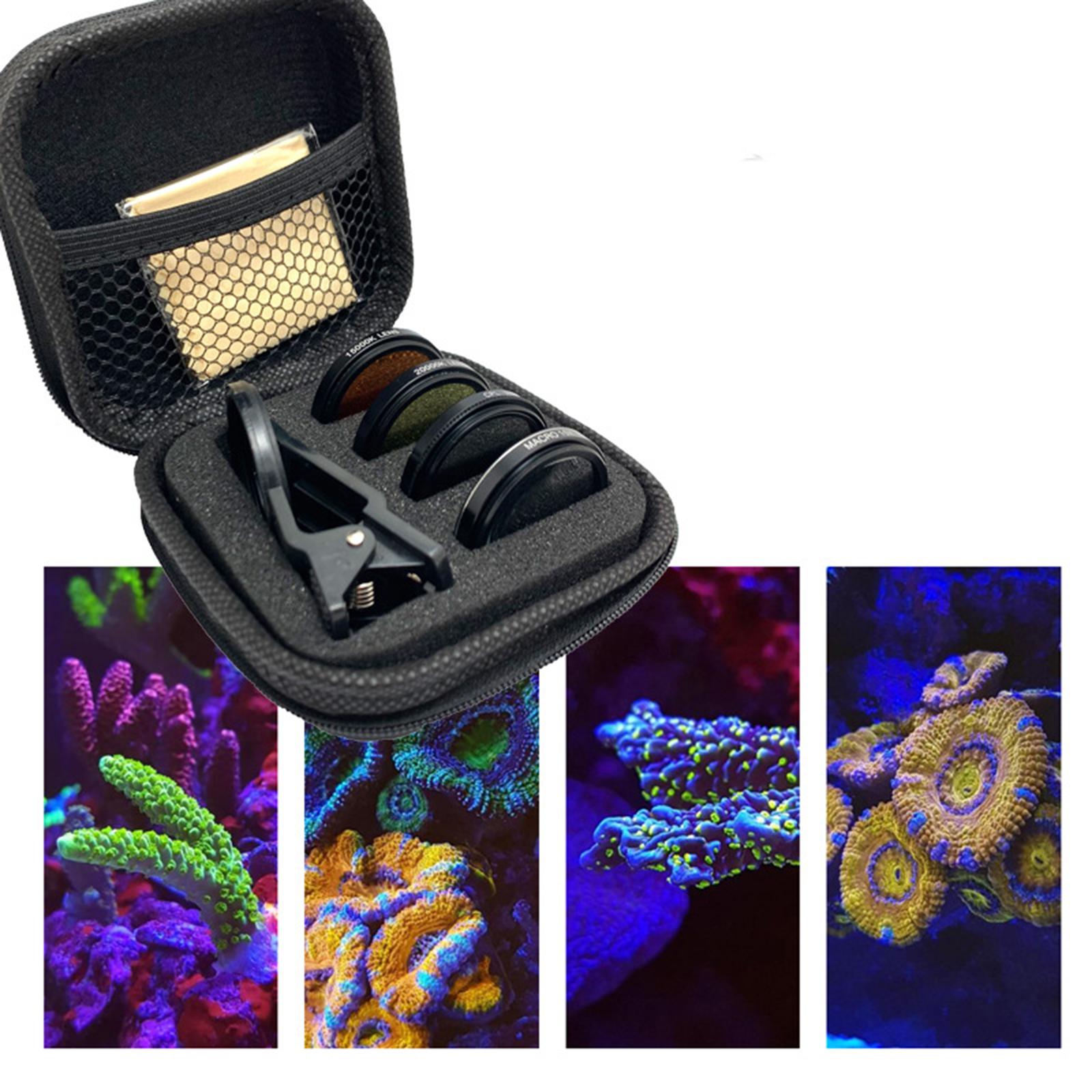 Fish Lens Camera Coral Reef Ph - đánh giá và giá Marine Aquarium