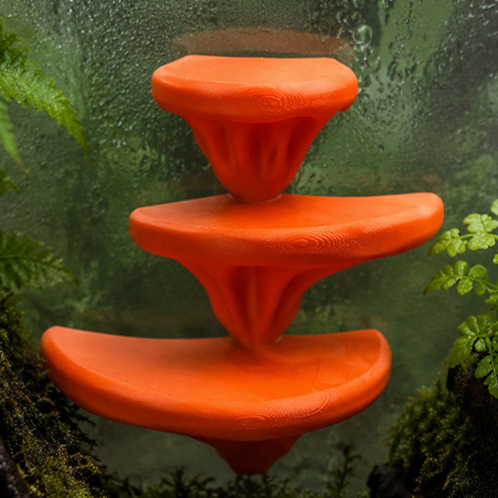 Gecko Tank Mushroom Decor Rept - đánh giá và giá Marine Fish Tank