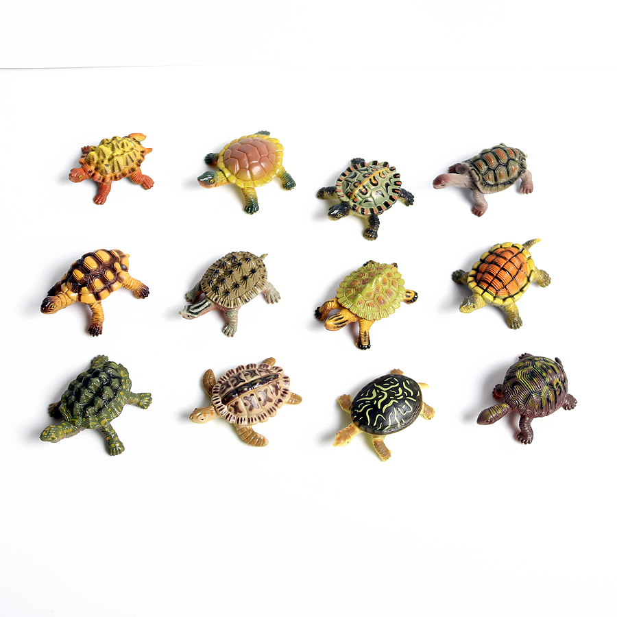 Thực Tế Bức Tiểu Họa Sinh Vật  - đánh giá và giá Marine Aquarium