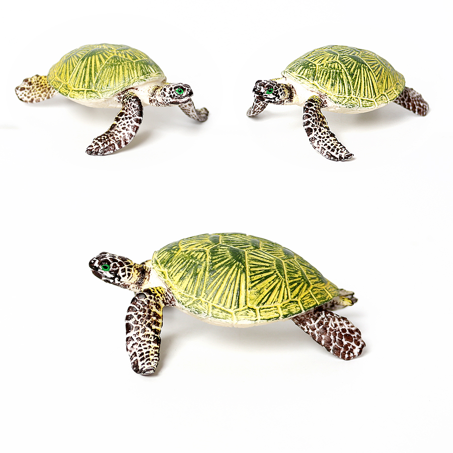 Thực Tế Bức Tiểu Họa Sinh Vật  - đánh giá và giá Marine Aquarium